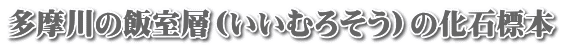 ɔzu